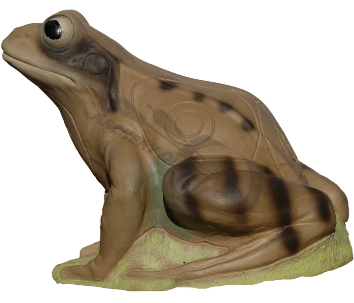 3d_ziel_frosch_ifaa_klasse_4